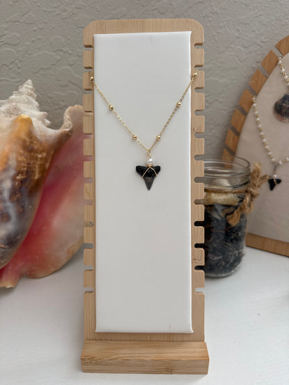 Golden Tide Shark Tooth Necklace