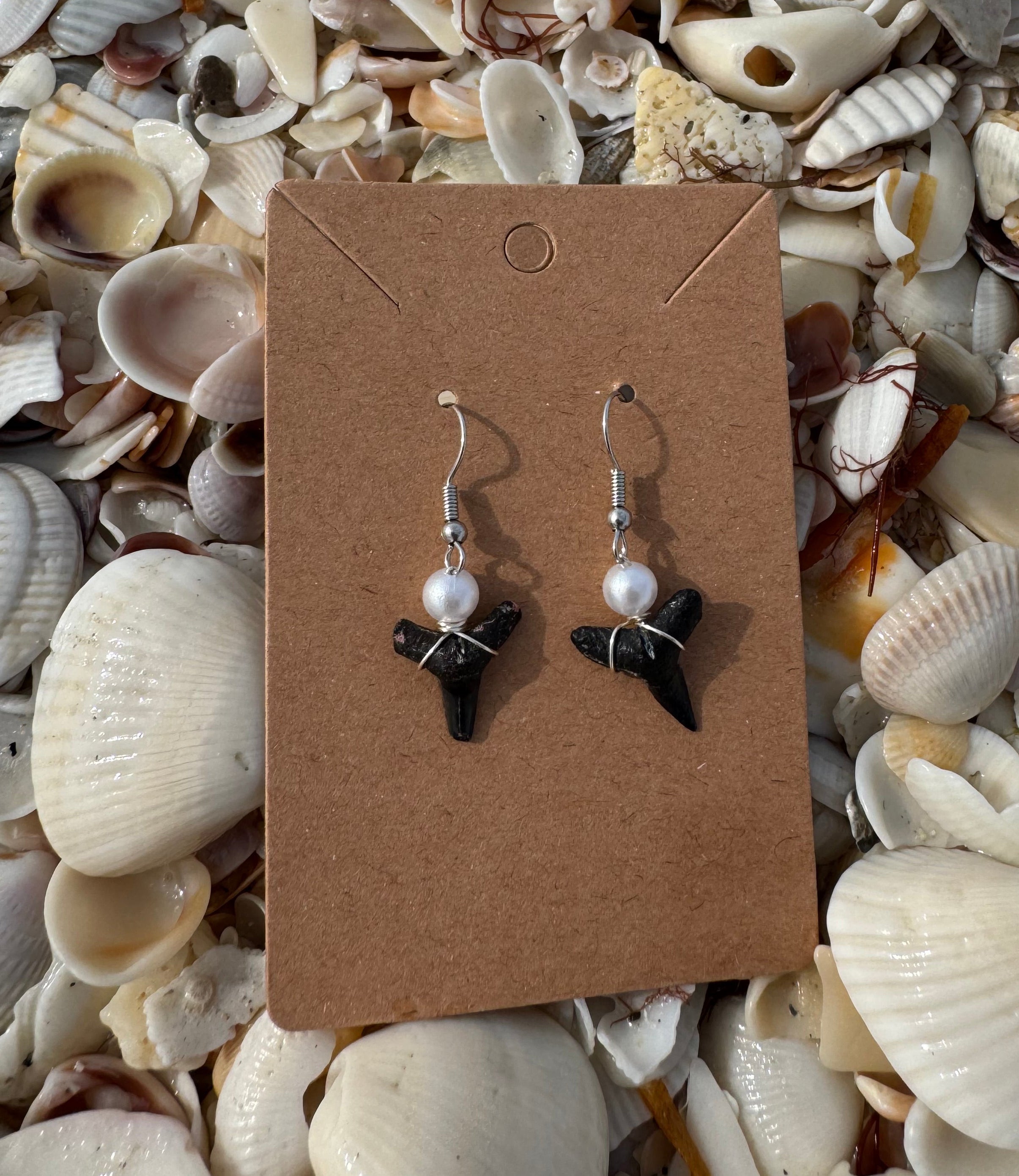 Shark Tooth Earrings – SeaWare