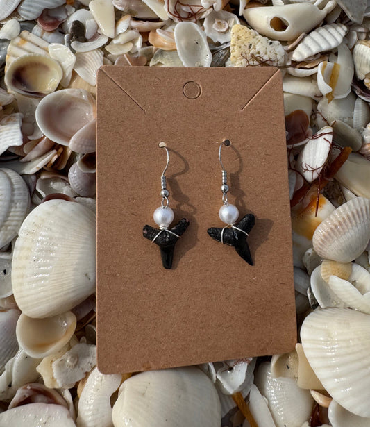 Shark Tooth Earrings