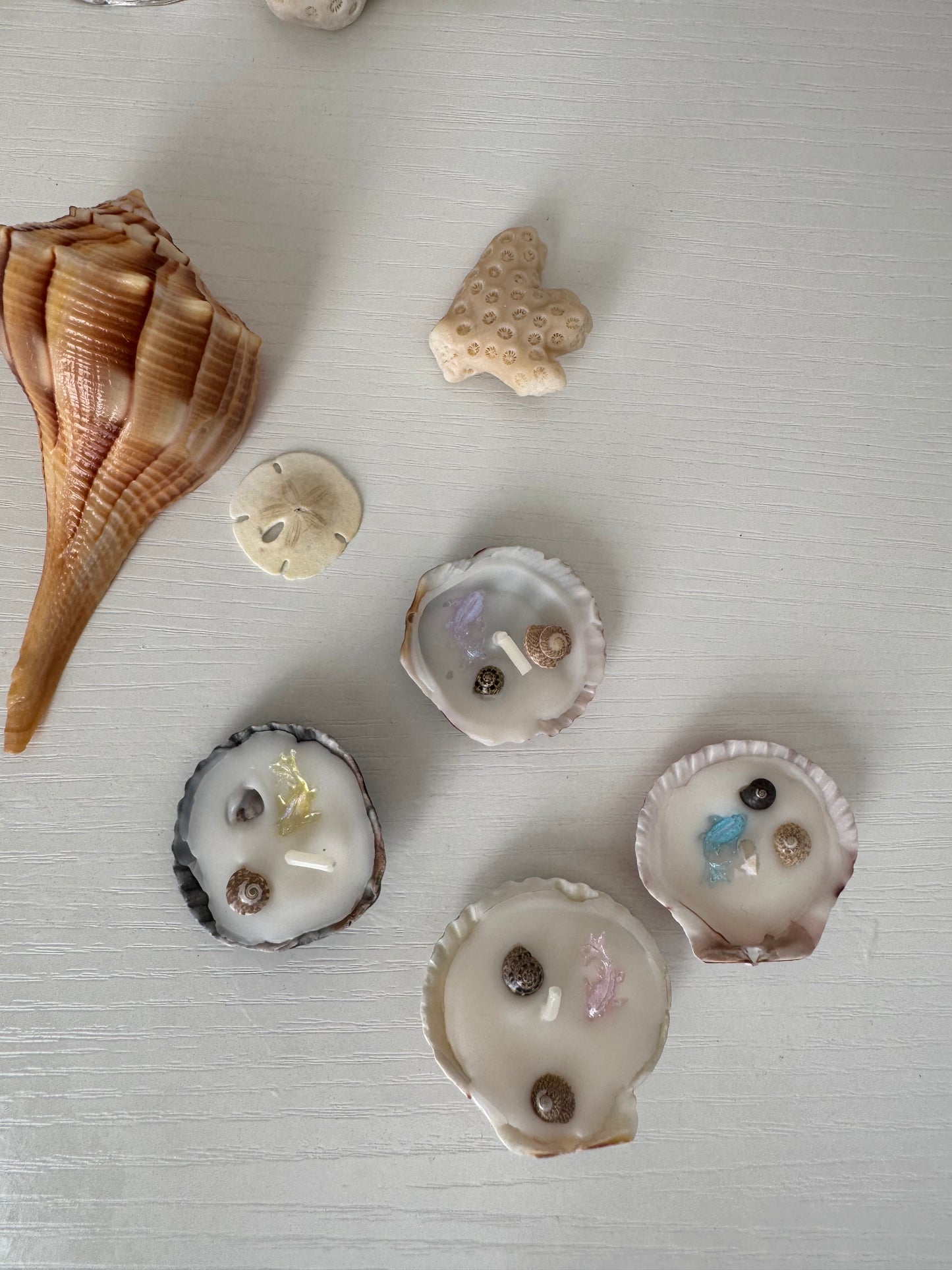 Midnight Mini Shell Candle