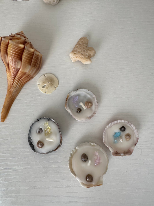 Midnight Mini Shell Candle