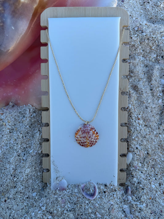 Deep Sea Scallop Necklace