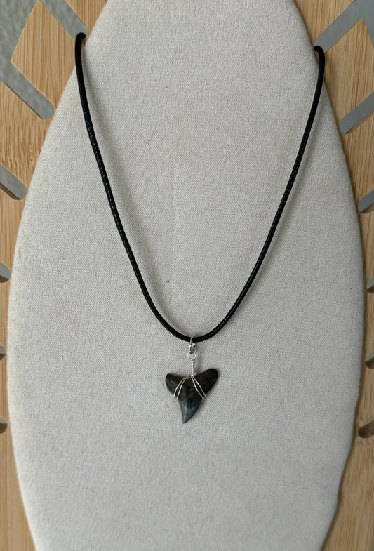 Leather Cord Shark Tooth Necklace