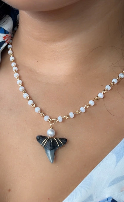 Pearl Chain Shark Tooth Necklace